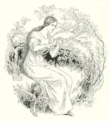 Ich ging in den Wald und holte es