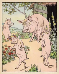 Illustration für Die drei kleinen Schweinchen