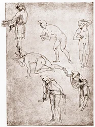 Anbetung der Hirten, um 1478-1480
