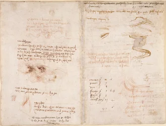 Notizen über die Realität in Träumen, über Wasser und die Flüsse Sieve und Arno (auf dem Kopf), aus 