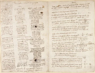 Kurze Texte von Leonardos Prophezeiungen (