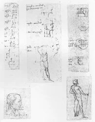 Fünf Zeichnungen zur Theorie der Proportionen der menschlichen Figur, ca. 1472-1519