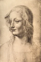 Kopf einer jungen Frau, Zeichnung von Leonardo da Vinci, Gabinetto dei Disegni e Stampe, Uffizien, Florenz