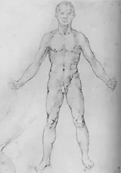 Nackter Mann mit ausgestreckten Armen, von vorn gesehen, um 1480, 1945