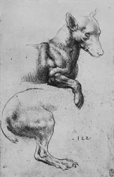 Studien der Vorder- und Hinterteile eines Hundes, ca. 1480