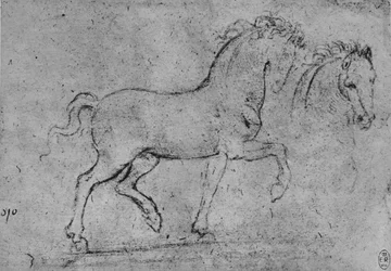 Studie eines Pferdes und eines Pferdekopfes, ca. 1480