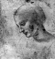 Studie des Kopfes der Madonna