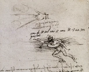Die Palme und die Boje, Codex Atlanticus