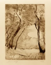 Bäume am Ufer des Grunewaldsees