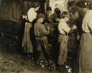 Der 10-jährige Jimmie, der seit 3 Jahren (6 Töpfe pro Tag) mit einem 11-jährigen Jungen, der 7 Töpfe schält, bei Varn und Platt Canning Co., Bluffton, South Carolina, 1913