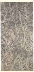 Fünf Kiefern