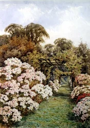 Ein Gartenweg