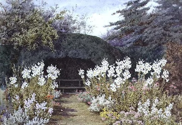 Osterlilien im Garten