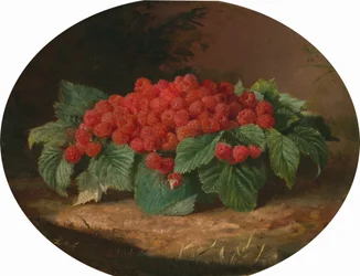 Himbeeren