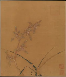 Orchideen, zweites Viertel des 13. Jahrhunderts