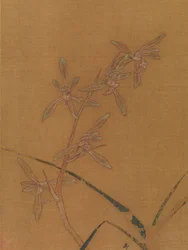 Orchideen, zweites Viertel des 13. Jahrhunderts