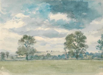 Sommerlandschaft