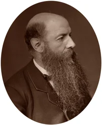 Sir Wilfrid Lawson, Politiker, Abgeordneter für Carlisle, 1882