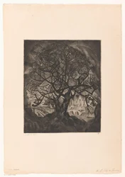 Baum mit kahlen Ästen