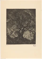 Baum mit kahlen Ästen