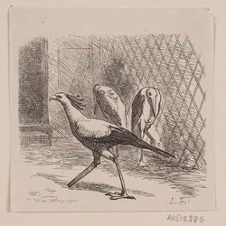 Sekretär im Jardin des Plantes