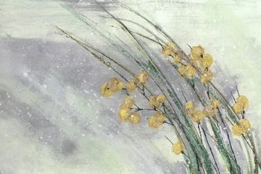 Zarte gelbe Blüten