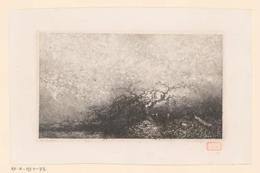 Landschaft mit einem Baum an einem Teich