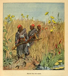 Der Krieg in Madagaskar - Anekdotische Geschichte der französischen Expeditionen von 1885-1895 von Henri Galli dit Galllichet (1854-1922), illustriert von Louis Bombled (1862-1927): Französische Truppen auf Expedition in den Sümpfen von Madagaskar im Jahr 