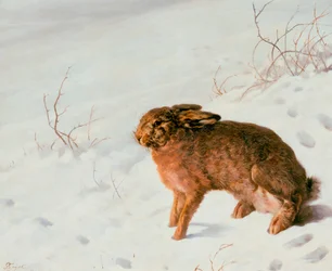 Hase im Schnee, 1875