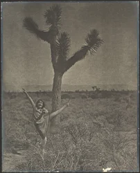Tänzerin am Joshua Tree