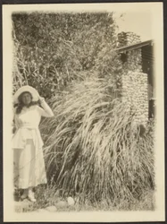 Florenz und Wildgras