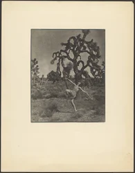 Inspiration des Tanzes