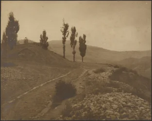[Landschaft mit Hügeln]