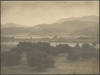 Landschaft mit niedrigen Bäumen