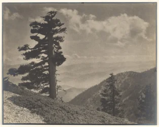 Auf dem Grat zu Old Baldy