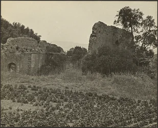 Ruinen der Mission Purisima Concepcion