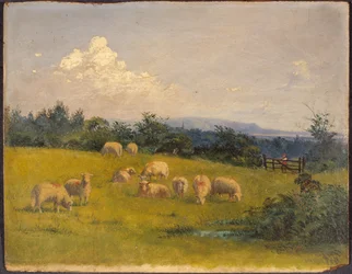 Landschaft in der Nähe von Swansea