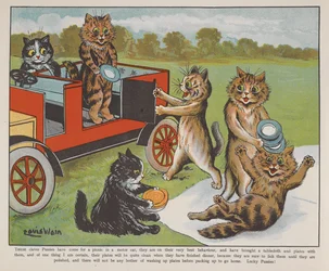 Katzen bereiten ein Picknick vor