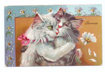 Edwardianische Postkarte von zwei sich umarmenden Katzen, ca. 1910