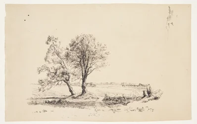 Landschaft mit Weiden an einem Wasserlauf