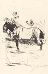 Reitpferd, 1916