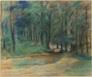 Waldweg, 1890er Jahre