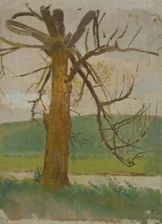 Baum am Fluss
