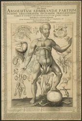 Zweite Vision, aus Spiegel des Mikrokosmos