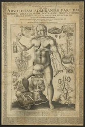 Dritte Vision, aus Spiegel des Mikrokosmos