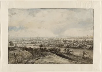 Ein Panoramaflusslandschaft mit Kopfweiden
