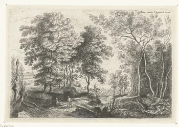 Landschaft mit einem Bach durch einen Wald