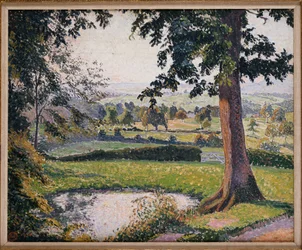 Gunville Pond, Sedgeville