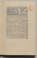 Die Königin der Fische: Tafel 9