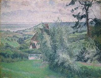 Weiden, Fischteich, Dorset